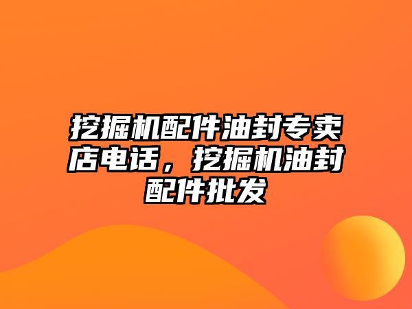 挖掘機配件油封專賣店電話，挖掘機油封配件批發(fā)