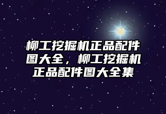 柳工挖掘機(jī)正品配件圖大全，柳工挖掘機(jī)正品配件圖大全集