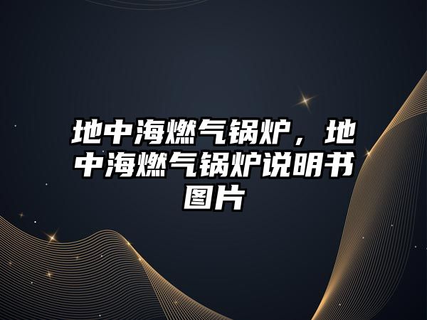 地中海燃?xì)忮仩t，地中海燃?xì)忮仩t說明書圖片