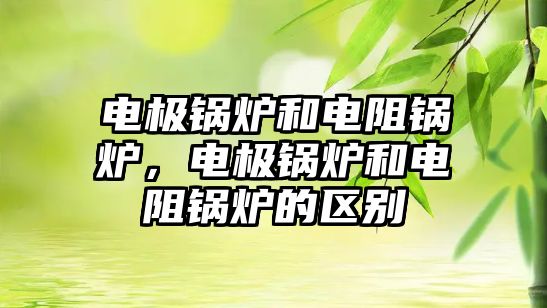 電極鍋爐和電阻鍋爐，電極鍋爐和電阻鍋爐的區(qū)別