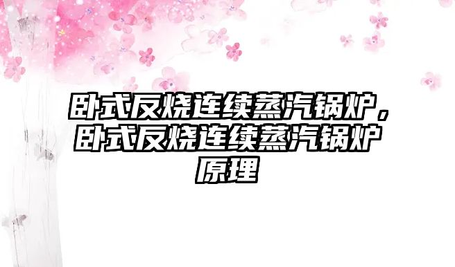 臥式反燒連續(xù)蒸汽鍋爐，臥式反燒連續(xù)蒸汽鍋爐原理