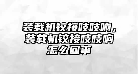 裝載機鉸接吱吱響，裝載機鉸接吱吱響怎么回事