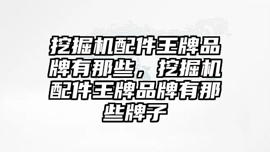 挖掘機配件王牌品牌有那些，挖掘機配件王牌品牌有那些牌子