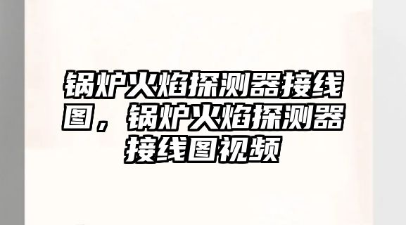 鍋爐火焰探測(cè)器接線圖，鍋爐火焰探測(cè)器接線圖視頻