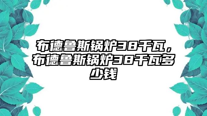 布德魯斯鍋爐38千瓦，布德魯斯鍋爐38千瓦多少錢