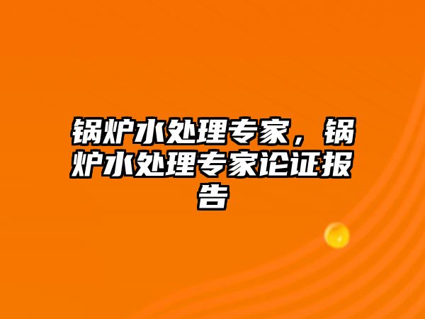 鍋爐水處理專家，鍋爐水處理專家論證報告