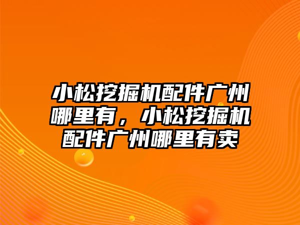 小松挖掘機配件廣州哪里有，小松挖掘機配件廣州哪里有賣