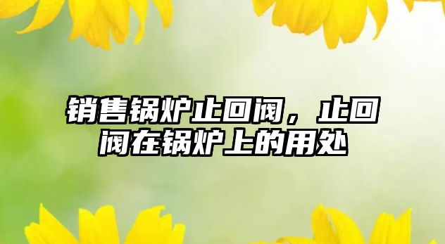 銷售鍋爐止回閥，止回閥在鍋爐上的用處