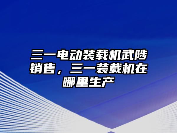 三一電動(dòng)裝載機(jī)武陟銷售，三一裝載機(jī)在哪里生產(chǎn)