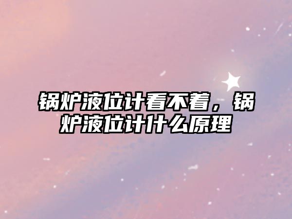 鍋爐液位計看不著，鍋爐液位計什么原理