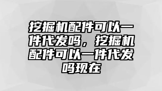 挖掘機(jī)配件可以一件代發(fā)嗎，挖掘機(jī)配件可以一件代發(fā)嗎現(xiàn)在