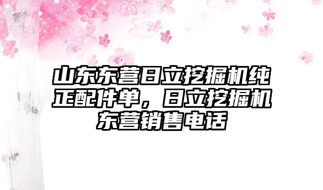 山東東營日立挖掘機純正配件單，日立挖掘機東營銷售電話