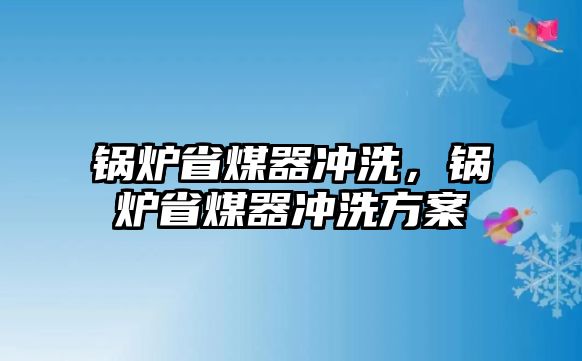 鍋爐省煤器沖洗，鍋爐省煤器沖洗方案