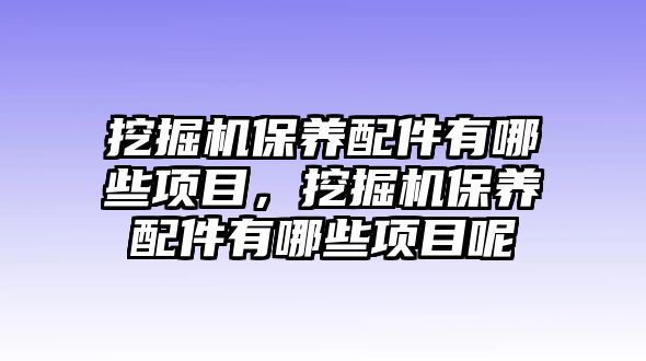 挖掘機(jī)保養(yǎng)配件有哪些項(xiàng)目，挖掘機(jī)保養(yǎng)配件有哪些項(xiàng)目呢