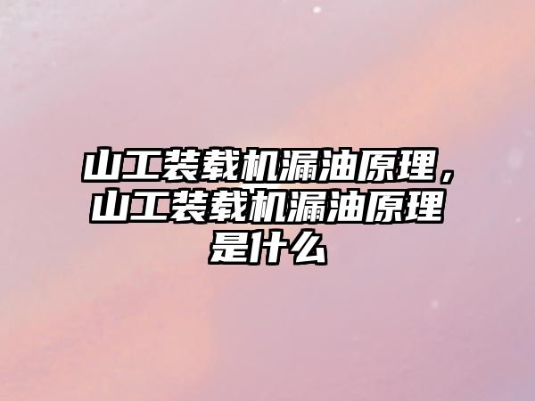 山工裝載機漏油原理，山工裝載機漏油原理是什么