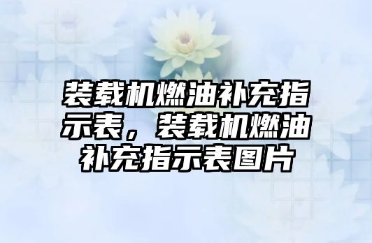 裝載機(jī)燃油補(bǔ)充指示表，裝載機(jī)燃油補(bǔ)充指示表圖片