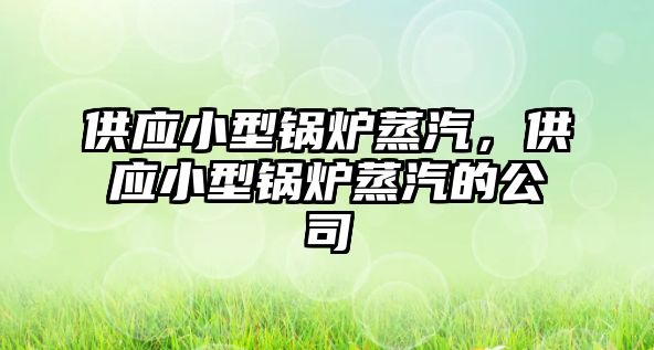 供應(yīng)小型鍋爐蒸汽，供應(yīng)小型鍋爐蒸汽的公司