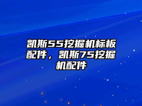 凱斯55挖掘機(jī)標(biāo)板配件，凱斯75挖掘機(jī)配件