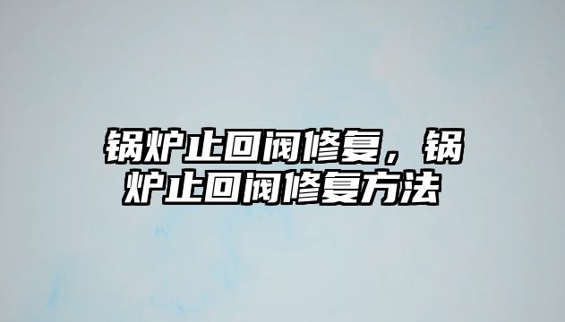 鍋爐止回閥修復(fù)，鍋爐止回閥修復(fù)方法