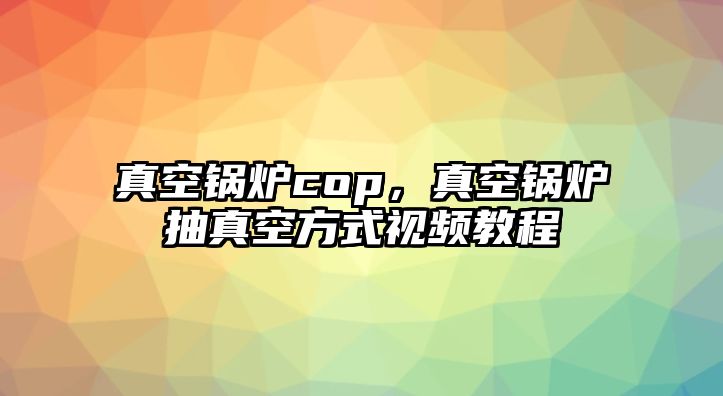 真空鍋爐cop，真空鍋爐抽真空方式視頻教程