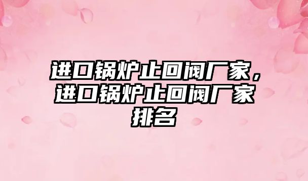 進口鍋爐止回閥廠家，進口鍋爐止回閥廠家排名