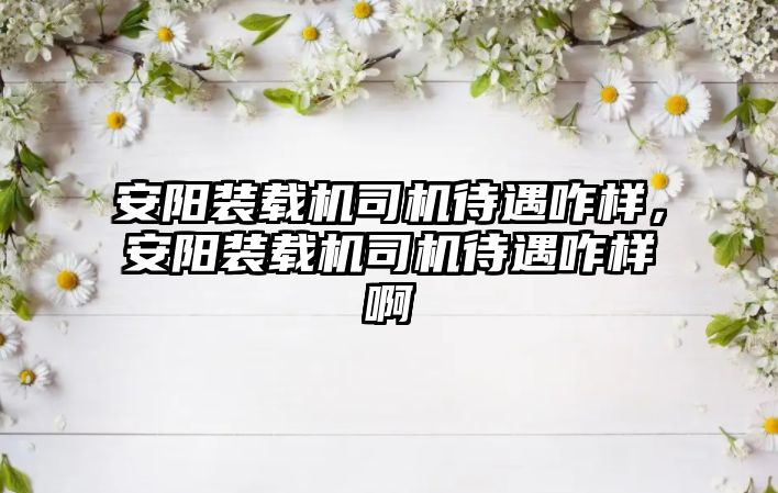 安陽裝載機司機待遇咋樣，安陽裝載機司機待遇咋樣啊