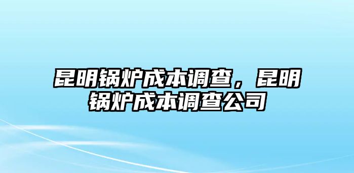 昆明鍋爐成本調(diào)查，昆明鍋爐成本調(diào)查公司