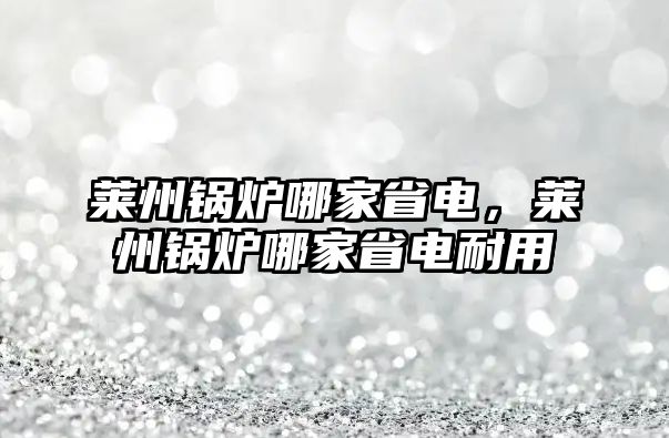 萊州鍋爐哪家省電，萊州鍋爐哪家省電耐用