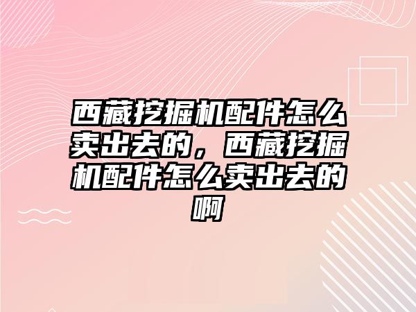 西藏挖掘機配件怎么賣出去的，西藏挖掘機配件怎么賣出去的啊