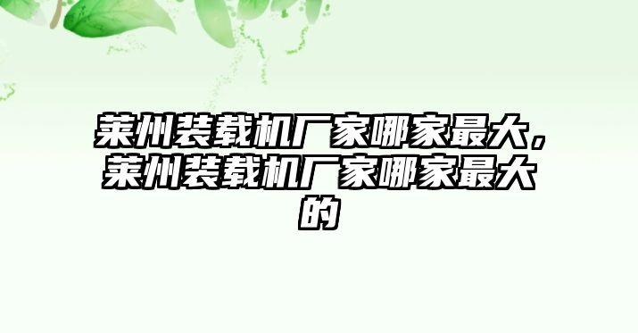 萊州裝載機(jī)廠家哪家最大，萊州裝載機(jī)廠家哪家最大的