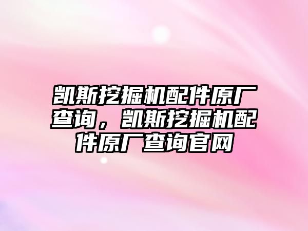 凱斯挖掘機(jī)配件原廠查詢，凱斯挖掘機(jī)配件原廠查詢官網(wǎng)