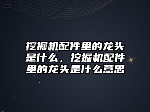 挖掘機配件里的龍頭是什么，挖掘機配件里的龍頭是什么意思