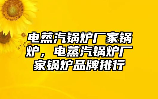 電蒸汽鍋爐廠家鍋爐，電蒸汽鍋爐廠家鍋爐品牌排行