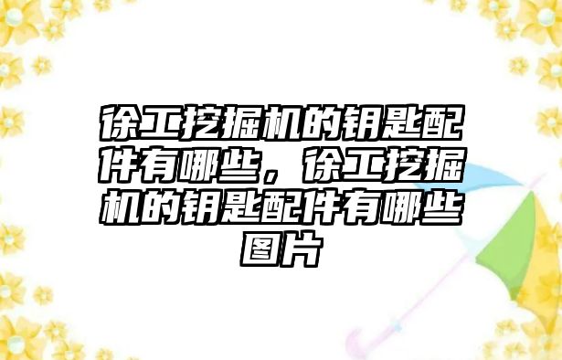 徐工挖掘機的鑰匙配件有哪些，徐工挖掘機的鑰匙配件有哪些圖片