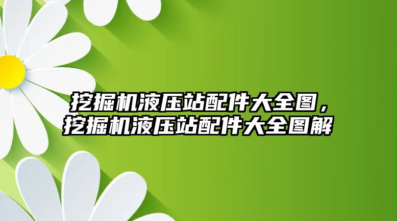 挖掘機液壓站配件大全圖，挖掘機液壓站配件大全圖解