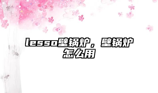 lesso壁鍋爐，壁鍋爐怎么用