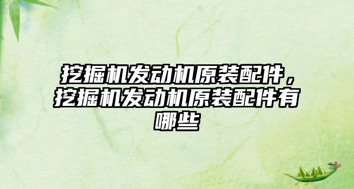 挖掘機發(fā)動機原裝配件，挖掘機發(fā)動機原裝配件有哪些