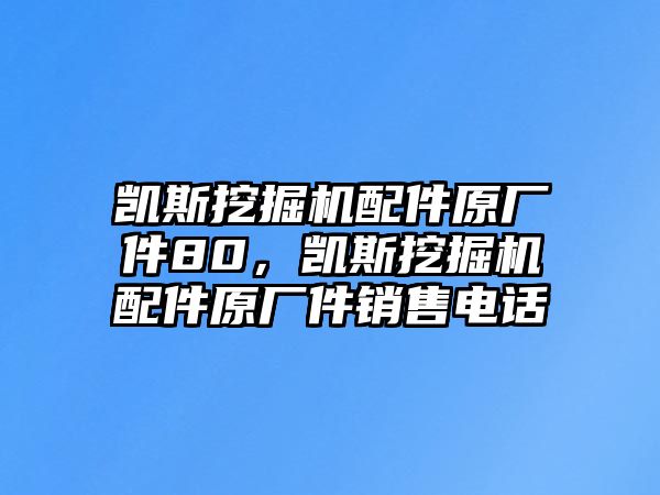 凱斯挖掘機(jī)配件原廠件80，凱斯挖掘機(jī)配件原廠件銷售電話