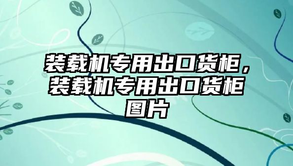 裝載機專用出口貨柜，裝載機專用出口貨柜圖片