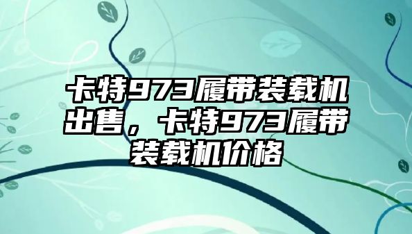 卡特973履帶裝載機(jī)出售，卡特973履帶裝載機(jī)價(jià)格