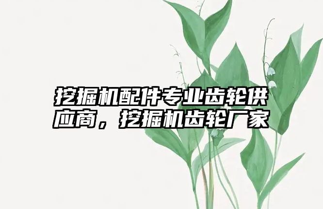 挖掘機配件專業(yè)齒輪供應(yīng)商，挖掘機齒輪廠家