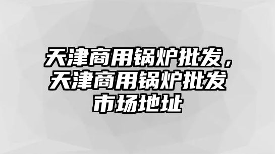 天津商用鍋爐批發(fā)，天津商用鍋爐批發(fā)市場地址