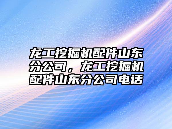 龍工挖掘機配件山東分公司，龍工挖掘機配件山東分公司電話