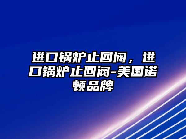 進(jìn)口鍋爐止回閥，進(jìn)口鍋爐止回閥-美國(guó)諾頓品牌