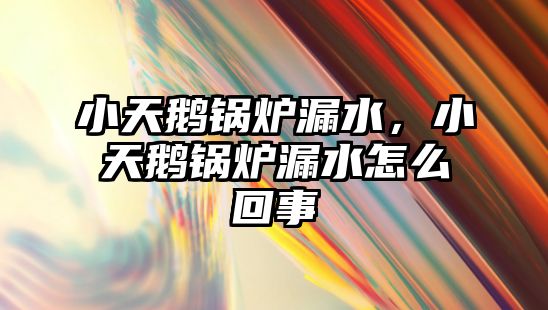 小天鵝鍋爐漏水，小天鵝鍋爐漏水怎么回事