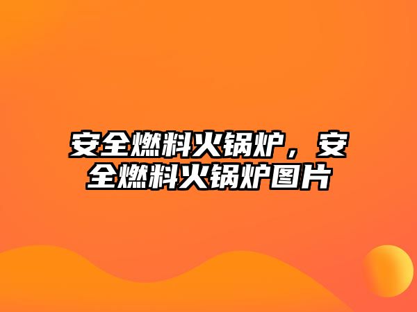 安全燃料火鍋爐，安全燃料火鍋爐圖片