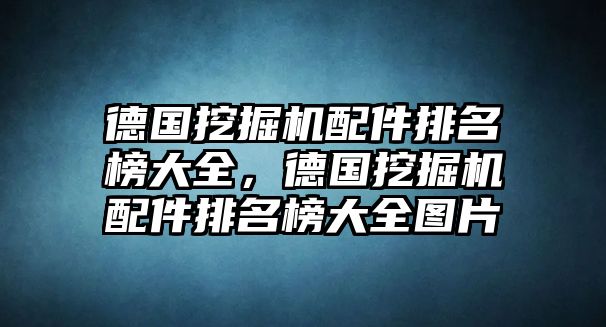 德國(guó)挖掘機(jī)配件排名榜大全，德國(guó)挖掘機(jī)配件排名榜大全圖片