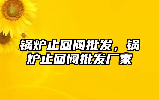 鍋爐止回閥批發(fā)，鍋爐止回閥批發(fā)廠家