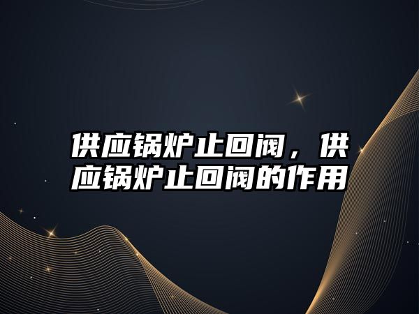 供應(yīng)鍋爐止回閥，供應(yīng)鍋爐止回閥的作用