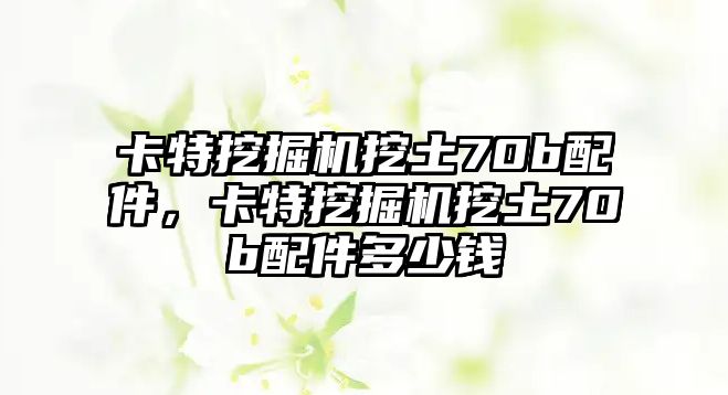 卡特挖掘機(jī)挖土70b配件，卡特挖掘機(jī)挖土70b配件多少錢(qián)